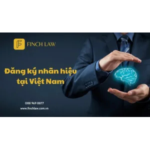 Công Ty Luật Trách Nhiệm Hữu Hạn Finch Law