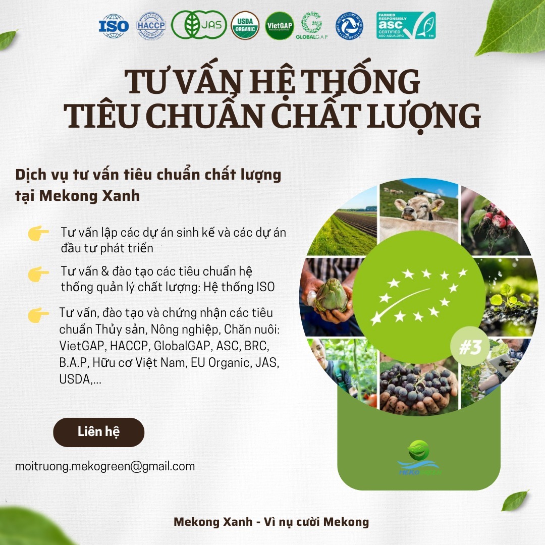 Tư vấn hệ thống tiêu chuẩn chất lượng