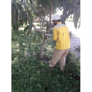 Công Ty Cổ Phần Thương Mại Dịch Vụ Phương Trân