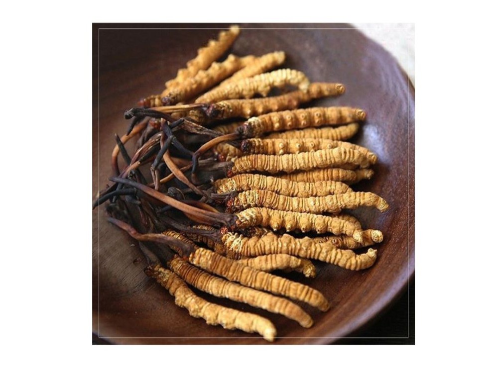 Thành phần xuất xứ