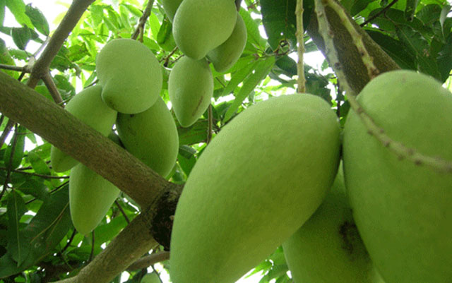 Một số nhận xét của khách hàng